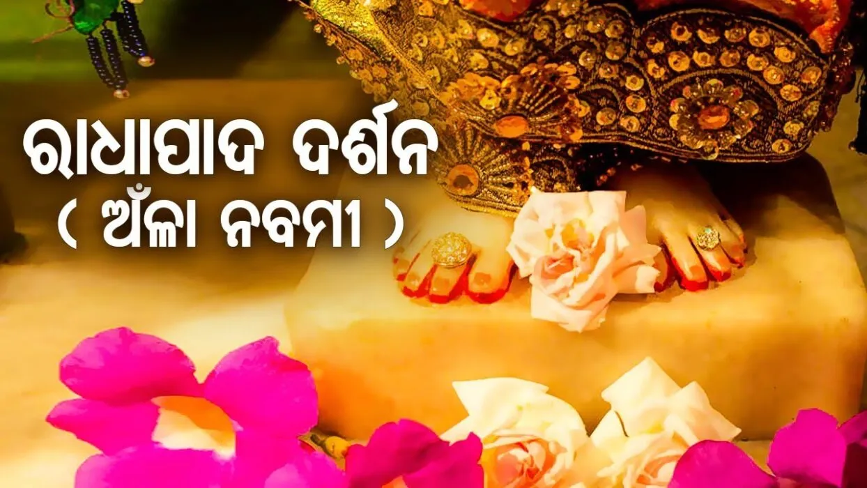 WhatsApp Image 2022-11-02 at 10.40.57 AM